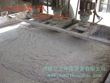 點(diǎn)擊查看詳細(xì)信息<br>標(biāo)題：CAF渦凹?xì)飧C(jī)使用現(xiàn)場(chǎng) 閱讀次數(shù)：15743